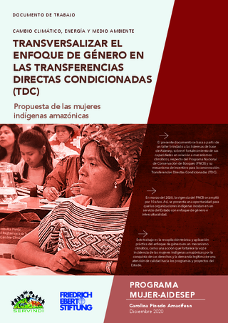 Transversalizar el enfoque de género en las Transferencias Directas Condicionadas (TDC)