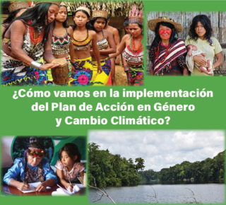 Como vamos en la implementación del Plan de acción en género y cambio climático?
